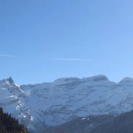 Les Frenes Apartment Leysin