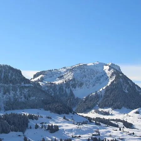 Les Frenes Leysin