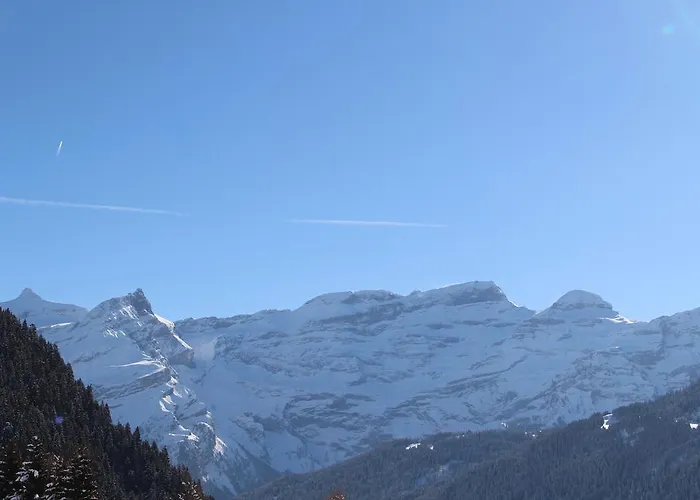 Les Frenes Apartment Leysin