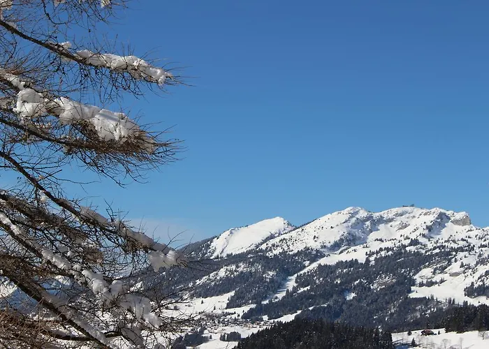 Apartament Les Frenes *